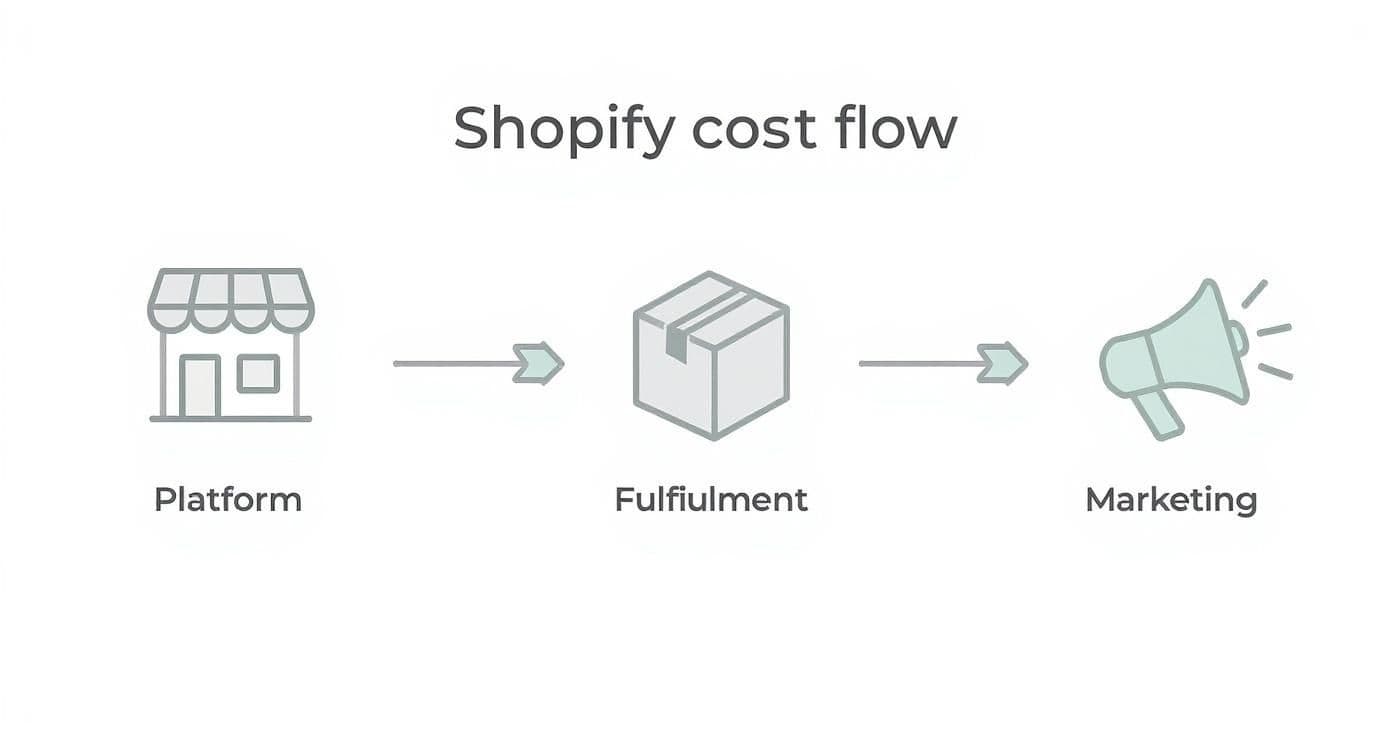 Shopify Profit Margin Calculator Guide