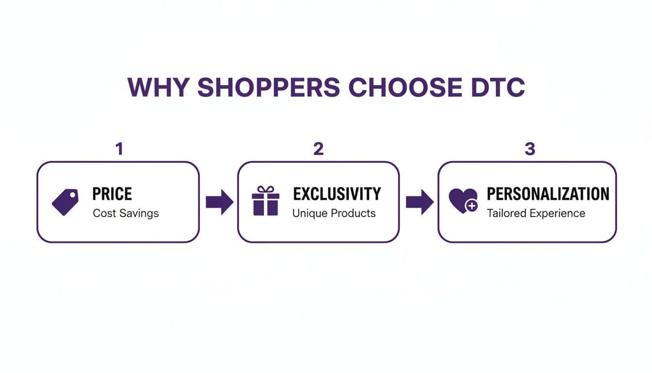 What Is Direct to Consumer Marketing A Guide to Brand Success